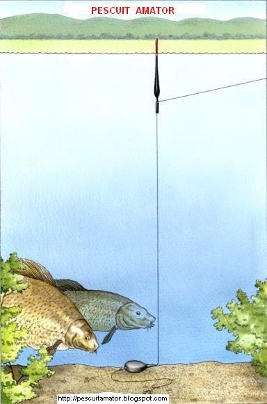 Interesant II :P - pescuit-crap-pe-fundul-apei.jpg